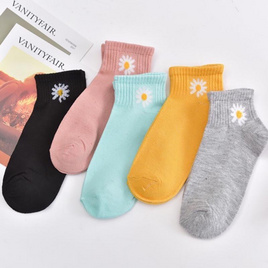 ถุงเท้าแฟชั่น รุ่น เดซี่ 1 แพค มี 10 คู่ 5 สี - Fashion sock, ถุงเท้าแฟชั่นแบบแพ็กสุดคุ้ม