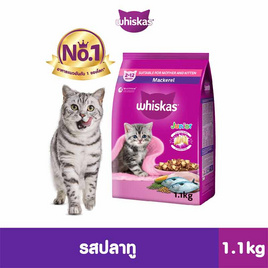 วิสกัส จูเนียร์ รสปลาทู พร้อมพ็อกเก็ตรสนม 1.1 กก. - วิสกัส, วิสกัส อาหารแมว ลดสูงสุด