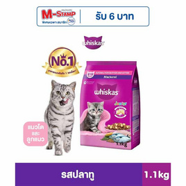วิสกัส อาหารแมว ชนิดเม็ด สูตรลูกแมว รสปลาทู 1.1 กก. - วิสกัส, สินค้าสัตว์เลี้ยง
