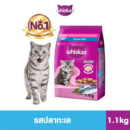 วิสกัส จูเนียร์ รสปลาทะเล พร้อมพ็อกเก็ตรสนม 1.1 กก. - วิสกัส, แมวโต