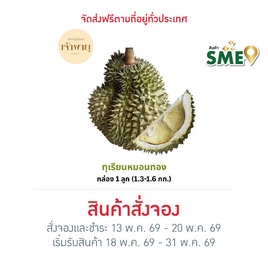 สวนเจ้าพายุ ทุเรียนหมอนทอง กล่อง 1 ลูก (1.3-1.6 กก.) - สวนเจ้าพายุ, สินค้าใหม่อาหารสด