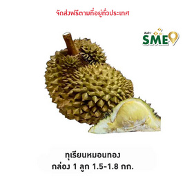 ทุเรียนหมอนทอง 1 ลูก 1.5-1.8 กก. สวนน้องคิม จ.จันทบุรี - สวนน้องคิม, ผักและผลไม้