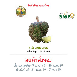 น้องคิม ทุเรียนหมอนทอง 1 ลูก (1.5-1.8 กก.) - สวนน้องคิม, ผักและผลไม้