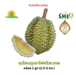 ทุเรียนภูเขาไฟศรีสะเกษหมอนทอง 1 ลูก (2.5-3 กก.) ทองลาวา จ.ศรีสะเกษ - ทองลาวา, ผักและผลไม้