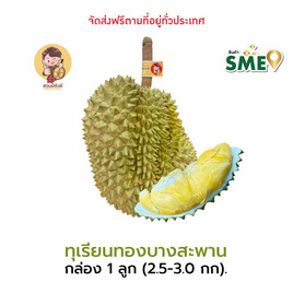 ทุเรียนทองบางสะพาน 1 ลูก (2.5-3 กก.) สวนมีตังค์ จ.ประจวบคีรีขันธ์ - สวนมีตังค์, ผักและผลไม้