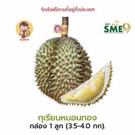 ทุเรียนหมอนทอง 1 ลูก (3.5-4 กก.) สวนมีตังค์ จ.ประจวบคีรีขันธ์ - สวนมีตังค์, ผลไม้สด