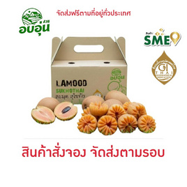 บ้านสวนอบอุ่น ละมุดสุโขทัย 1.5 กก. - บ้านสวนอบอุ่น