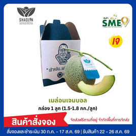 เส้าหลินฟาร์ม เมล่อนสายพันธุ์เจมบอล (1.5-1.8 กก./ลูก) กล่อง 1 ลูก - เส้าหลินฟาร์ม, ผลไม้สด