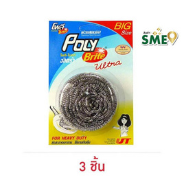 โพลี-ไบรท์อัลตร้า ฝอยสเตนเลส 20 กรัม - Poly-Brite, ของใช้ภายในบ้าน