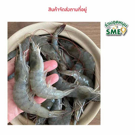 เฮง เฮง กุ้งขาว 20-25 ตัว/กก. (รวม 2 กก.) - เฮง เฮง, อาหารแช่แข็ง