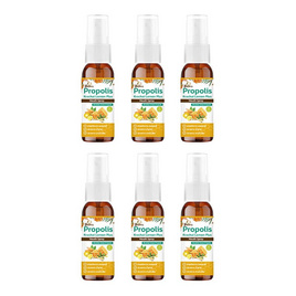 บาลานส์ โพรพอลิส กระชายเลม่อน เม้าท์สเปรย์ ขนาด 20 มล. 6 ขวด - Balans