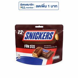 สนิกเกอร์ส ฟันไซส์ ช็อกโกแลต (คละลาย) 240 กรัม - Snickers, ช็อกโกแลต