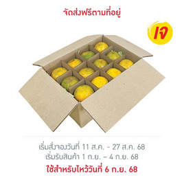 ส้มสายน้ำผึ้ง 24 ผล 3 กก. สวนร่มเกล้า - สวนร่มเกล้า, ผักและผลไม้