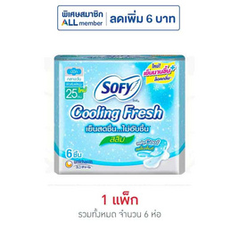 โซฟี ผ้าอนามัยคูลลิ่งเฟรช สลิม มีปีก 25ซม. ห่อละ 6 ชิ้น (แพ็ก 6 ห่อ) - Sofy, ผ้าอนามัยแบบกลางวัน