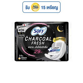 โซฟี ผ้าอนามัยถ่าน ชาร์โคล เฟรช มีปีก 29 ซม. 14 ชิ้น - Sofy, ผ้าอนามัยแบบกลางวัน