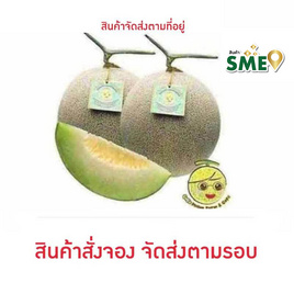 โคโค่ เมล่อนฟาร์ม เมล่อนคาโอริ สีเขียว 2 ลูก - Coco Melon Farm, ผลไม้สด