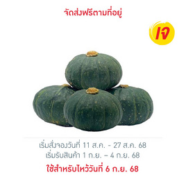 ฟักทองญี่ปุ่นมินิ 2 กก. ไร่ชรินทร์พรรณ - ไร่ชรินทร์พรรณ, ผักและผลไม้