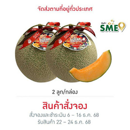 ไร่ชรินทร์พรรณ เมล่อนฮอกไกโดพรีเมียม สีส้ม 2 ลูก/กล่อง - ไร่ชรินทร์พรรณ