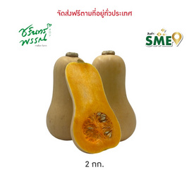 ไร่ชรินทร์พรรณ ฟักทองบัตเตอร์นัท 2 กิโลกรัม - ไร่ชรินทร์พรรณ