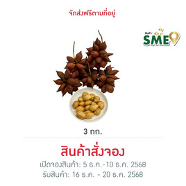 สวนเจ้าพายุ สละพันธุ์สุมาลี 2 กิโลกรัม - สวนเจ้าพายุ, สวนเจ้าพายุ