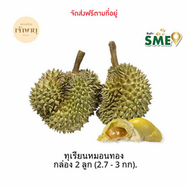 ทุเรียนหมอนทอง 2 ลูก 2.7-3 กก. สวนเจ้าพายุ จ.จันทบุรี - สวนเจ้าพายุ, ผลไม้สด