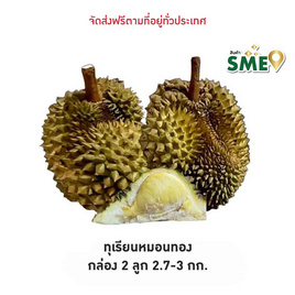 ทุเรียนหมอนทอง 2 ลูก 2.7-3 กก. สวนน้องคิม จ.จันทบุรี - สวนน้องคิม, ผักและผลไม้