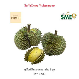 ทุเรียนใต้หมอนทอง 2 ลูก (2.7-3 กก.) สวนเจ้าพายุ - สวนเจ้าพายุ, ผักและผลไม้
