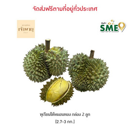 ทุเรียนใต้หมอนทอง 2 ลูก (2.7-3 กก.) สวนเจ้าพายุ - สวนเจ้าพายุ, ผลไม้สด