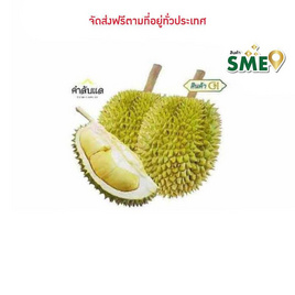 ทุเรียนหลงลับแล กล่อง 2 ลูก (3 กก.) สวนคำลับแล จ.อุตรดิตถ์ - สวนคำลับแล, อาหารสด ผัก ผลไม้และเบเกอรี่