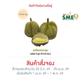 สวนเจ้าพายุ ทุเรียนกระดุม กล่อง 2 ลูก (3 - 3.5 กก.) - สวนเจ้าพายุ, โปรโมชั่นสายกินเท่านั้น