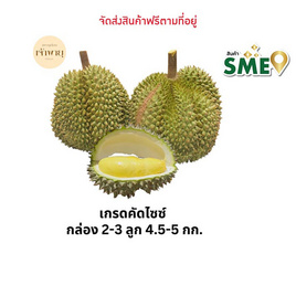 ทุเรียนกระดุม กล่อง 2 - 3 ลูก 4.5 - 5 กก. สวนเจ้าพายุ - สวนเจ้าพายุ, ผลไม้สด