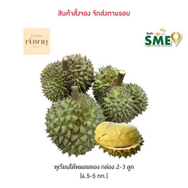 ทุเรียนใต้หมอนทอง 2-3 ลูก (4.5-5 กก.) สวนเจ้าพายุ - สวนเจ้าพายุ, ผักและผลไม้