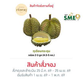 สวนเจ้าพายุ ทุเรียนกระดุม กล่อง 2-3 ลูก (4.5-5 กก.) - สวนเจ้าพายุ
