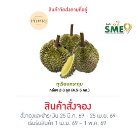 สวนเจ้าพายุ ทุเรียนกระดุม กล่อง 2-3 ลูก (4.5-5 กก.) - สวนเจ้าพายุ, ผักและผลไม้