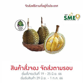 สวนทวีทรัพย์ ทุเรียนนวลทองจันทร์ไซส์ใหญ่ (2-3 ลูก 5 kg) - สวนทวีทรัพย์ จ.ชุมพร, อาหารสด ผัก ผลไม้และเบเกอรี่