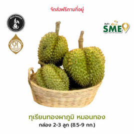 ทุเรียนทองผาภูมิหมอนทอง 2-3 ลูก 8.5-9 กก wild rabbit จ.กาญจนบุรี - ทุเรียนทองผาภูมิ Wild Rabbit, ผักและผลไม้