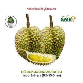 ทุเรียนหมอนทองคละเกรด 2-3 ลูก (9.5-10 กก.) สวนทวีทรัพย์ จ.ชุมพร - สวนทวีทรัพย์ จ.ชุมพร, ผลไม้สด