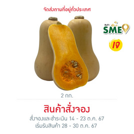 ไร่ชรินทร์พรรณ ฟักทองบัตเตอร์นัท 2-4 ลูก/กก. - ไร่ชรินทร์พรรณ, อาหารสด ผัก ผลไม้และเบเกอรี่