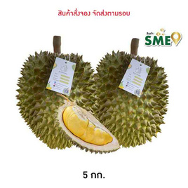 สวนลูกสาวกำนัน ทุเรียนหมอนทอง จำนวน 2 ลูก กล่อง 5 กก. - สวนลูกสาวกำนัน, ผักและผลไม้