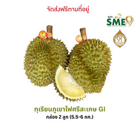 ทุเรียนภูเขาไฟศรีสะเกษหมอนทอง 2 ลูก (5.5-6 กก.) ดีจริง ศรีสะเกษ - ดีจริง ศรีสะเกษ, ผลไม้สด