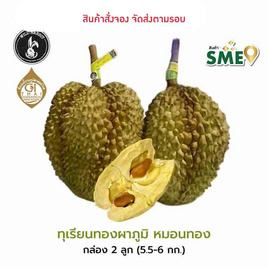 ทุเรียนทองผาภูมิหมอนทอง 2 ลูก 5.5-6 กก wild rabbit จ.กาญจนบุรี - ทุเรียนทองผาภูมิ Wild Rabbit, ผักและผลไม้