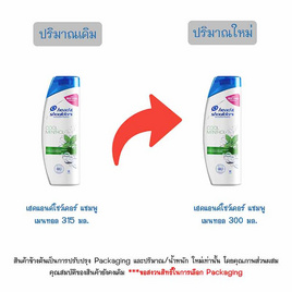 เฮดแอนด์โชว์เดอร์ แชมพู เมนทอล 300 มล. - Head & Shoulders, ผลิตภัณฑ์ดูแลเส้นผม