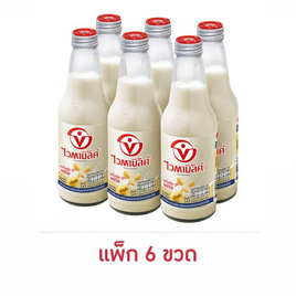 ไวตามิ้ลค์ น้ำนมถั่วเหลือง สูตรออริจินัล ทูโก 300 มล. (แพ็ก 6 ขวด) - Vitamilk, นมจืด