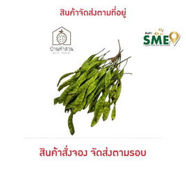 บ้านทำสวน สะตอข้าว จ. ชุมพร (30 ฝัก) - บ้านทำสวน, ผักและผลไม้