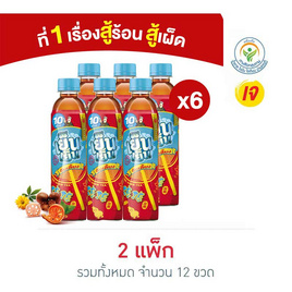 เย็นเย็น น้ำจับเลี้ยง 315 มล. (แพ็ก 6 ขวด) - Ichitan, เครื่องดื่ม