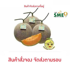 โคโค่ เมล่อนฟาร์ม เมล่อนโฮชิออเร้นจ์ สีส้ม 3 ลูก - Coco Melon Farm, Coco Melon Farm