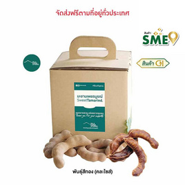 พิลาฟาร์ม มะขามหวานเพชรบูรณ์ พันธุ์สีทอง (คละไซส์) 3 กก. - พิลาฟาร์ม, ผลไม้สด