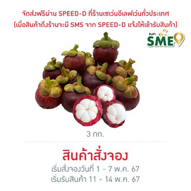 มังคุดคละไซส์ กล่อง 3 กก. สวนน้องคิม จ.จันทบุรี - สวนน้องคิม, อาหารสด ผัก ผลไม้และเบเกอรี่