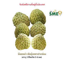 น้อยหน่าเพชรปากช่อง 3 กก. เจียระไน ฟรูทส์ จ. นครราชสีมา - เจียระไน ฟรูทส์, ผักและผลไม้
