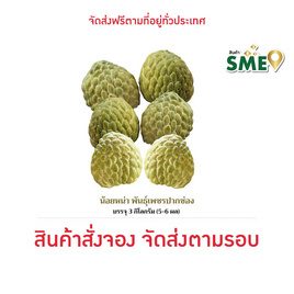 น้อยหน่าเพชรปากช่อง 3 กก. เจียระไน ฟรูทส์ จ. นครราชสีมา - เจียระไน ฟรูทส์, ผักและผลไม้